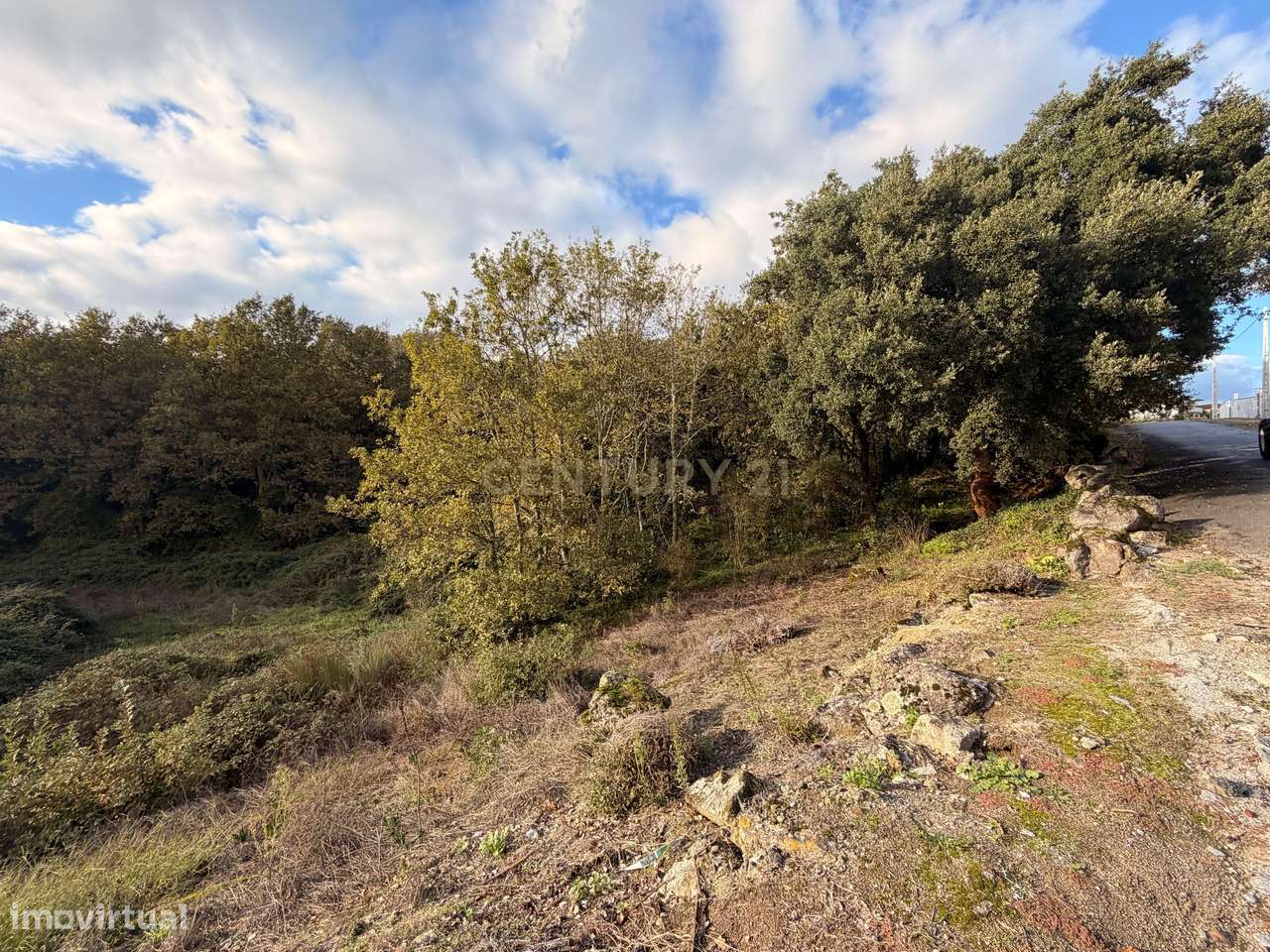 Terreno com 2,65hectares com potencial de construção em Abragão, Penaf - Grande imagem: 4/10