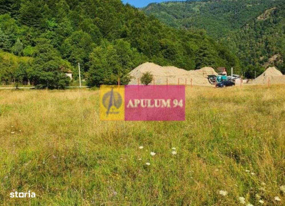 Teren Județul Vâlcea - Brezoi, Valea lui Stan - Imagine principală: 5/20