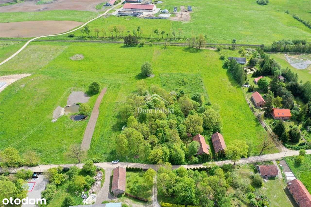 Działka 4900 m2 - Zatyki, gm. Olecko - Pełny obrazek: 5/14