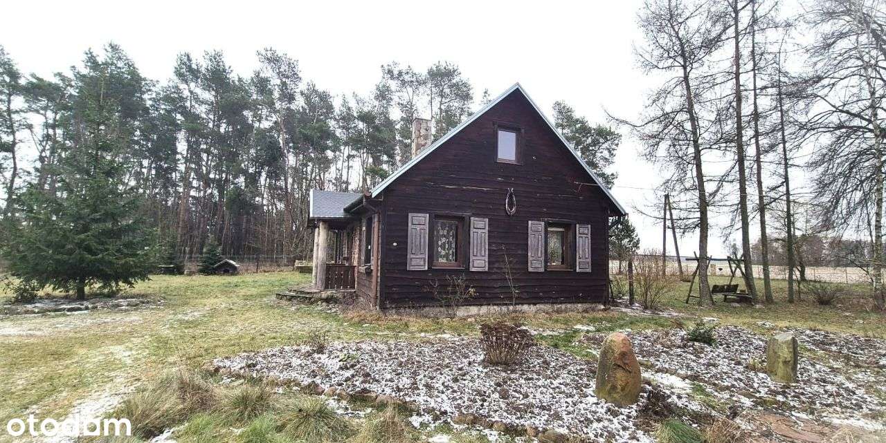 Urokliwe siedlisko z dala od zgiełku miasta * cało - Pełny obrazek: 4/20