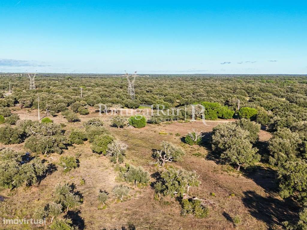 Herdade de 60 hectares para criação bovina e equina perto de Lisboa-56