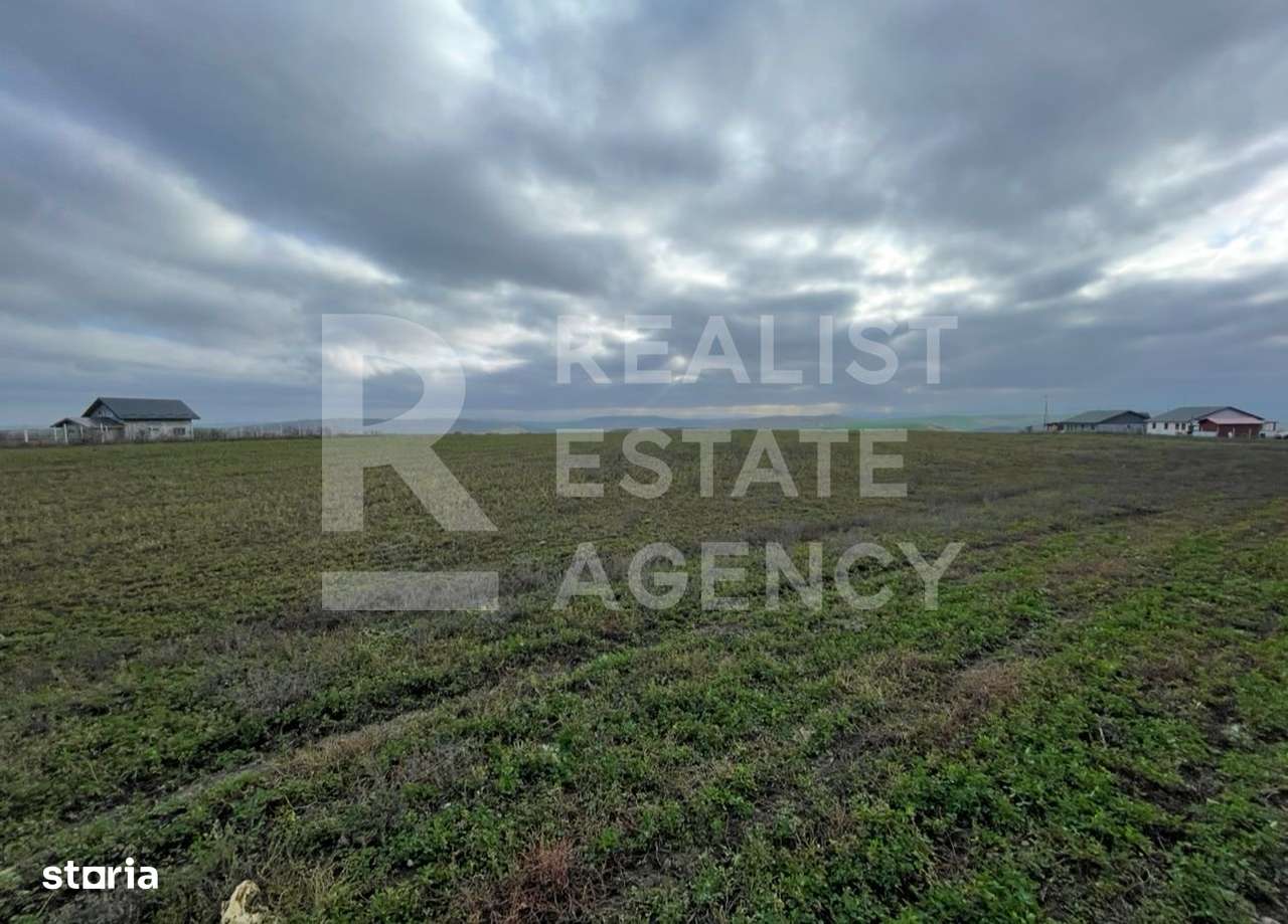 Teren 10.000 mp: 5.000 mp intravilan + 5.000 mp extravilan – Horlești - Imagine principală: 3/5