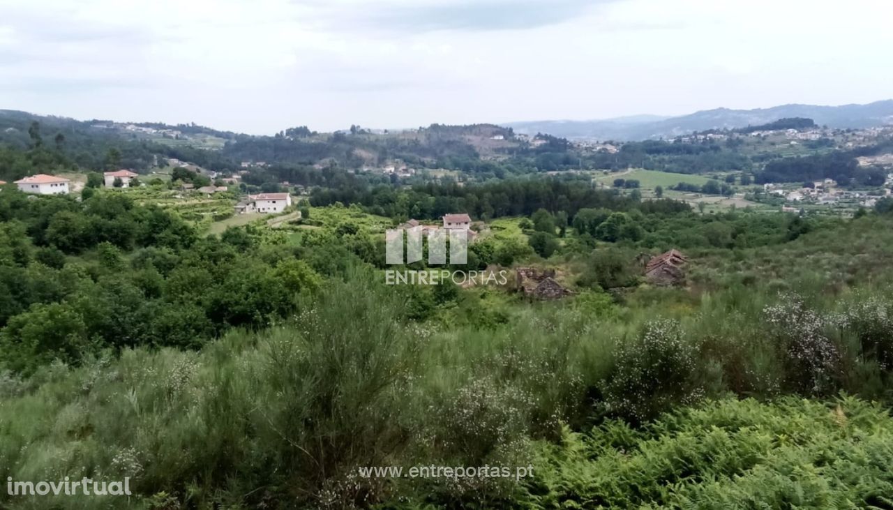 Venda Quinta, Vila Boa de Quires, Marco de Canaveses