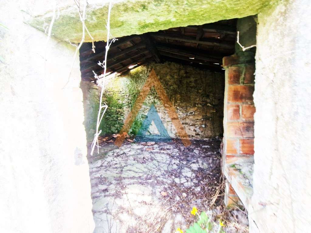 Maravilhosa quinta com casa e terreno-19