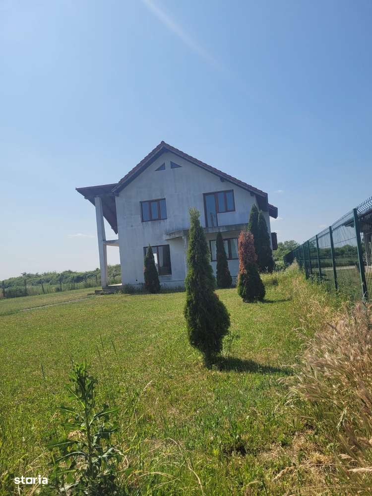Casă de vânzare în Bercu Nou cu teren-4