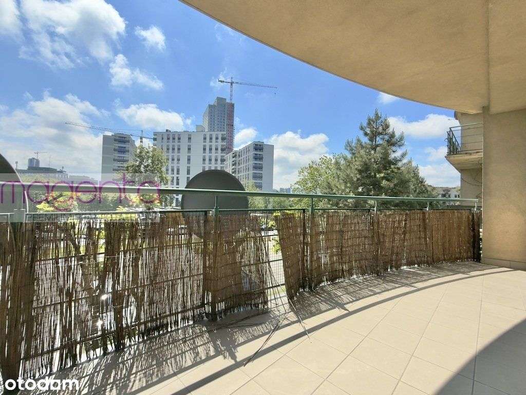 Rewelacyjny przestronny apartament Koszutka / Jesionowa-6