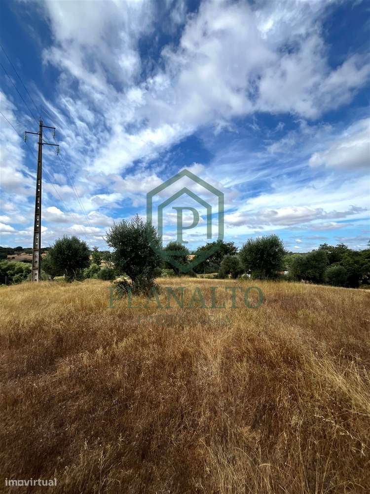 Quinta >=T10 Venda em Cortiçadas de Lavre e Lavre,Montemor-o-Novo-20