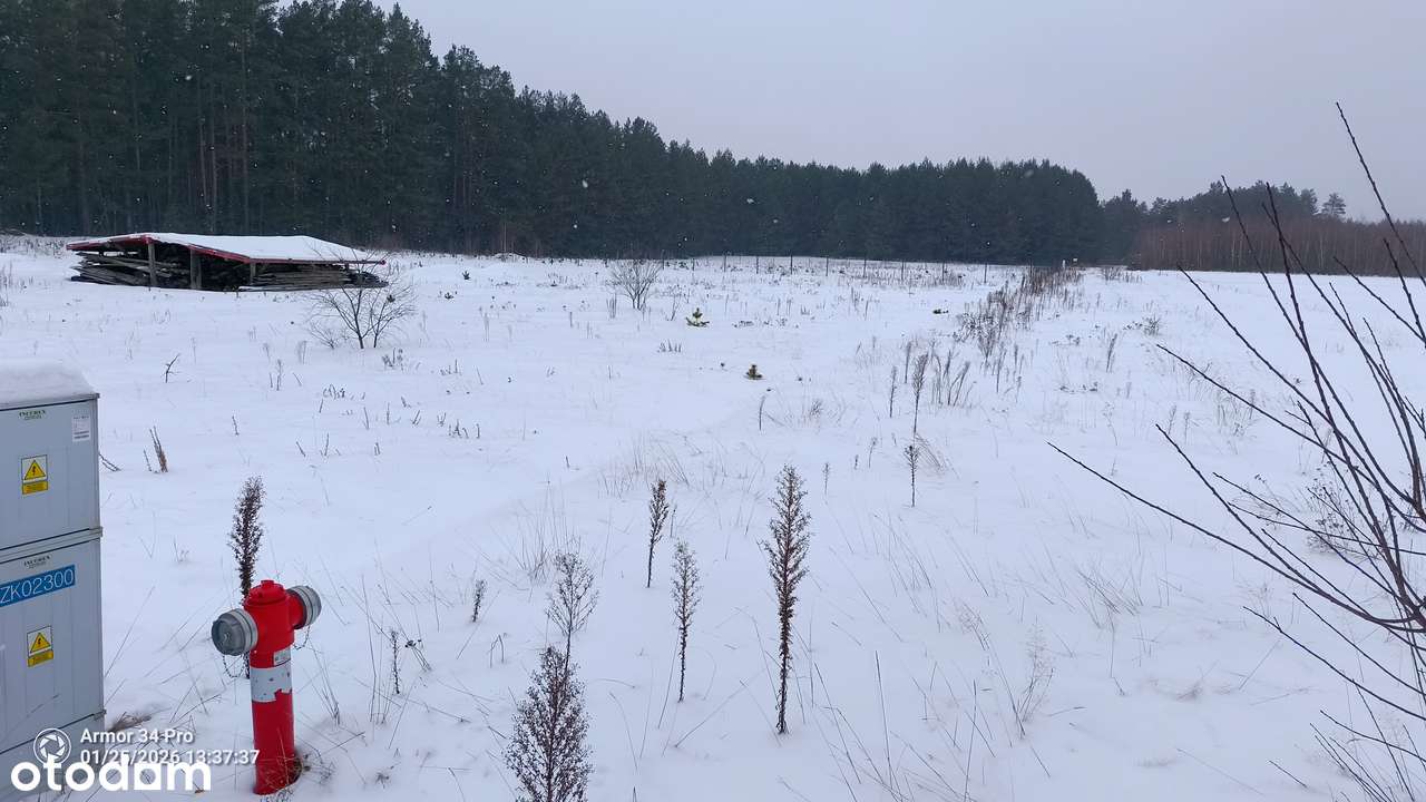 Działka we wsi Piaski z Pozwoleniem na budowę Puszcza Białowieska-0