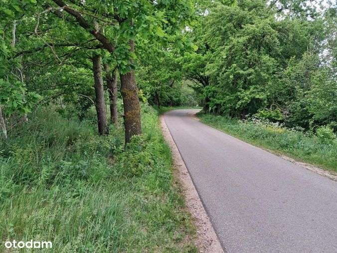 Działka, 10 400 m², Dąg-3