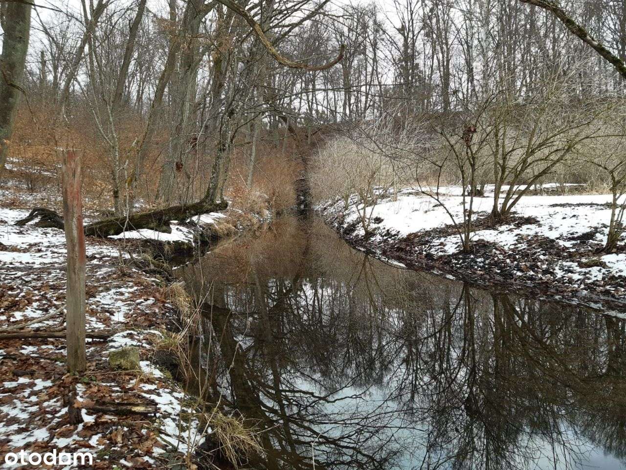 sprzedam działkę - Pełny obrazek: 4/7