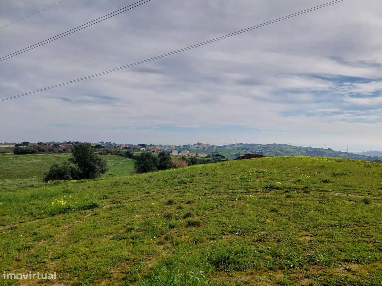 Quinta - 25 hectares-26