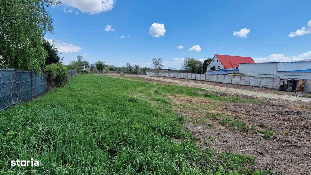 Teren Intravilan 2440 Stupini - Imagine principală: 1/7