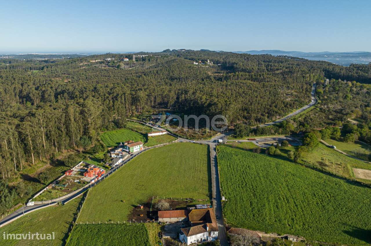 Terreno com 4200m2 em São Pedro de Avioso - Grande imagem: 4/16