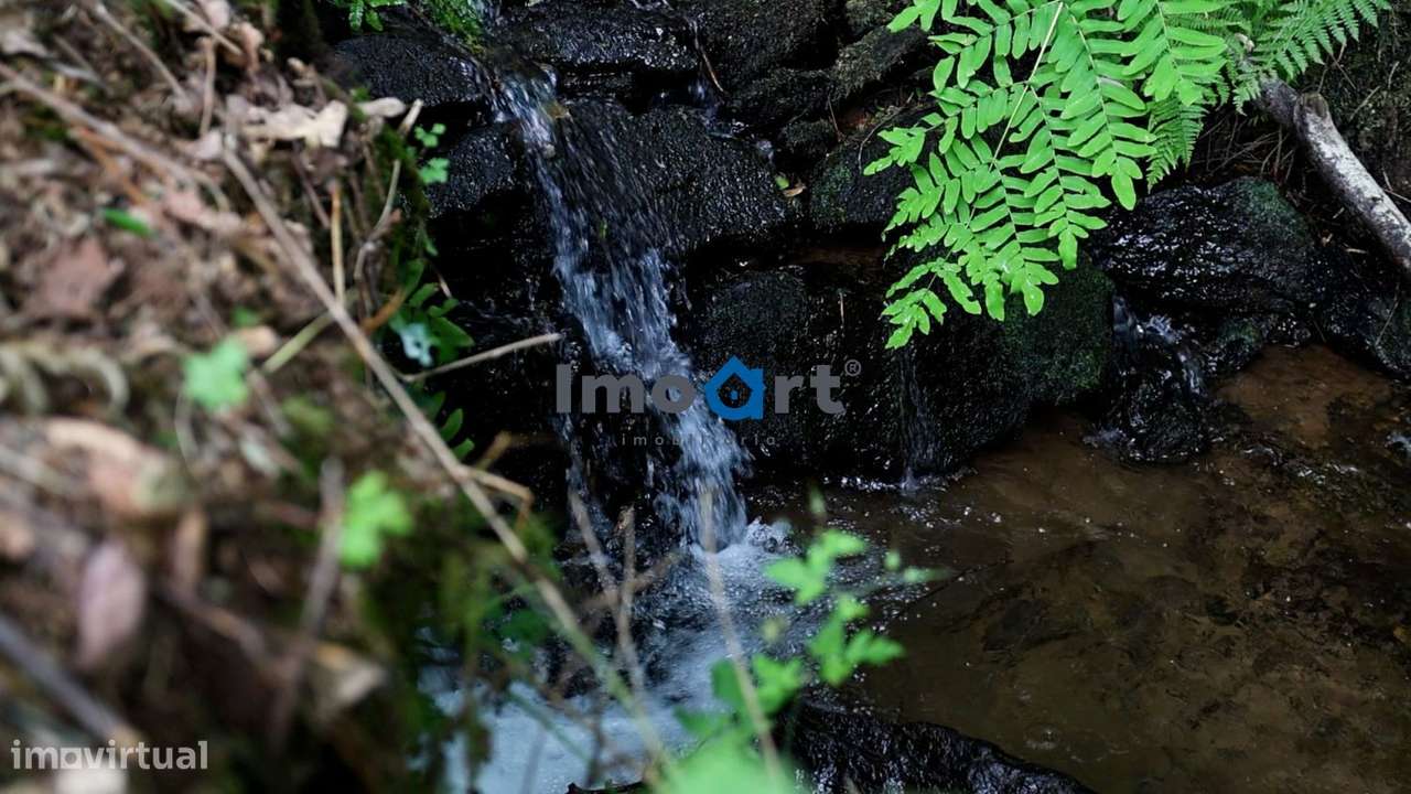 Quinta/Moradia em Pedra com 5.500 m² de Terreno em Fornelos – Ponte-11