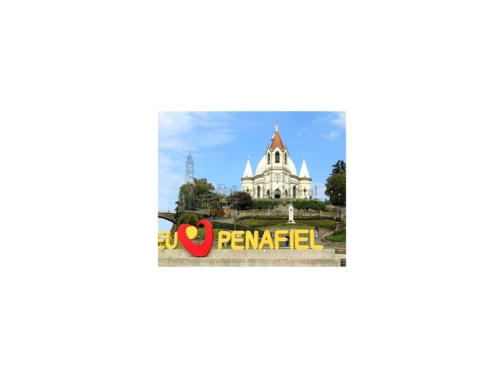 terreno carvalhos de bogalhos - Grande imagem: 5/20