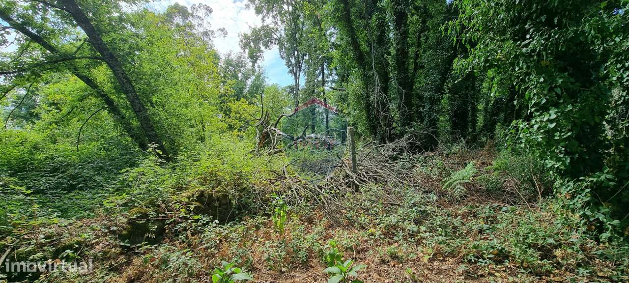 Terreno Para Construção  Venda em Ribafeita,Viseu - Grande imagem: 5/15