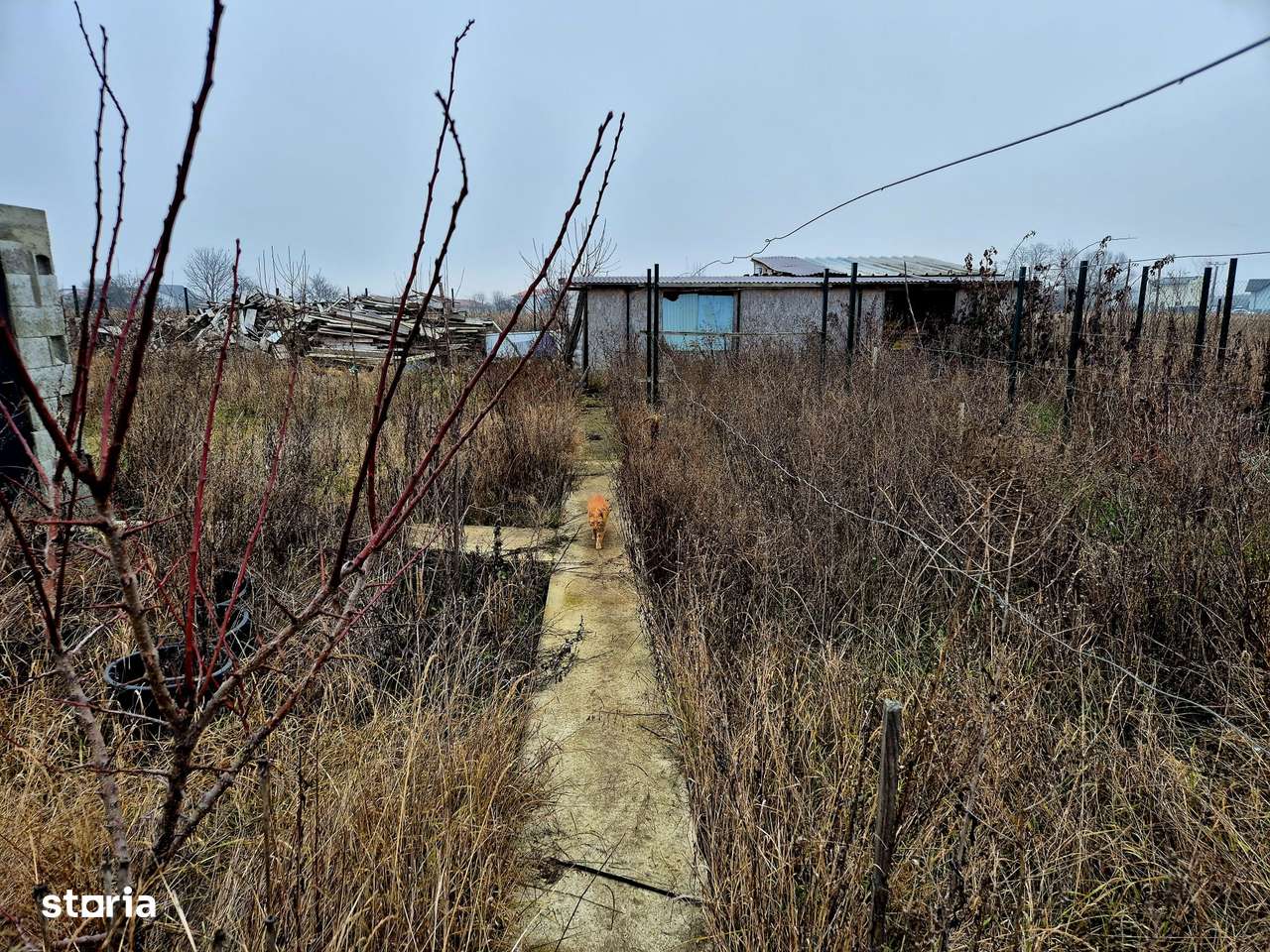 Teren 500 mp intravilan, Stupini casa de locuit - Imagine principală: 4/9