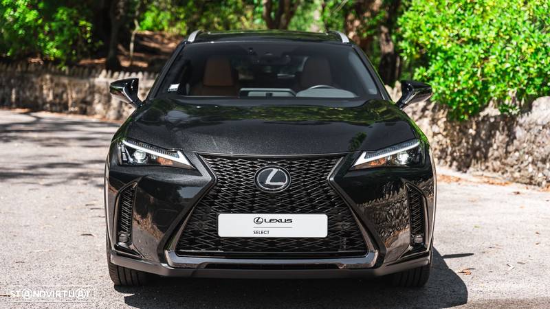 Lexus UX 250h Sport (Ecrã 12.3) - 2