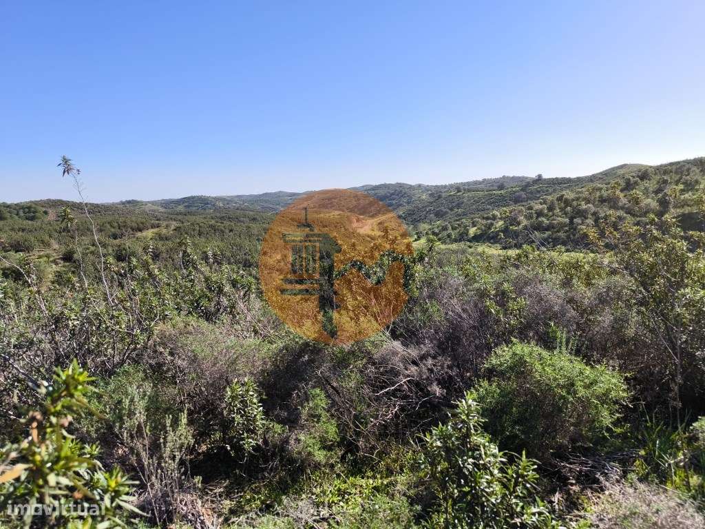 TERRENO COM 51.360 M2 - COM POSSIBILIDADE DE CONSTRUÇÃO - TURISMO -... - Grande imagem: 5/24