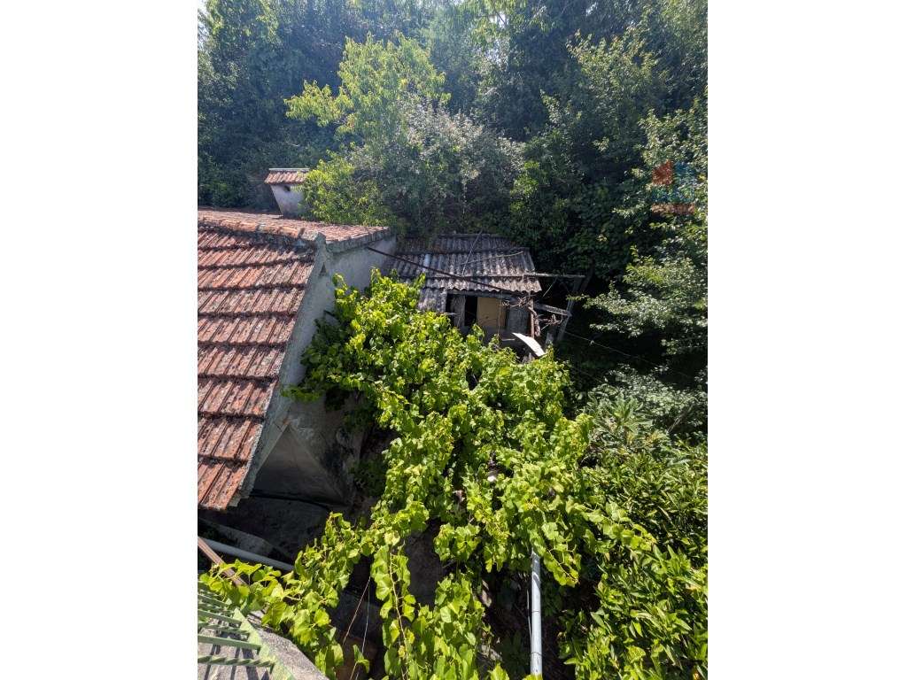 QUINTA COM MORADIA T3 PISCINA TERRENO E ANEXOS-40