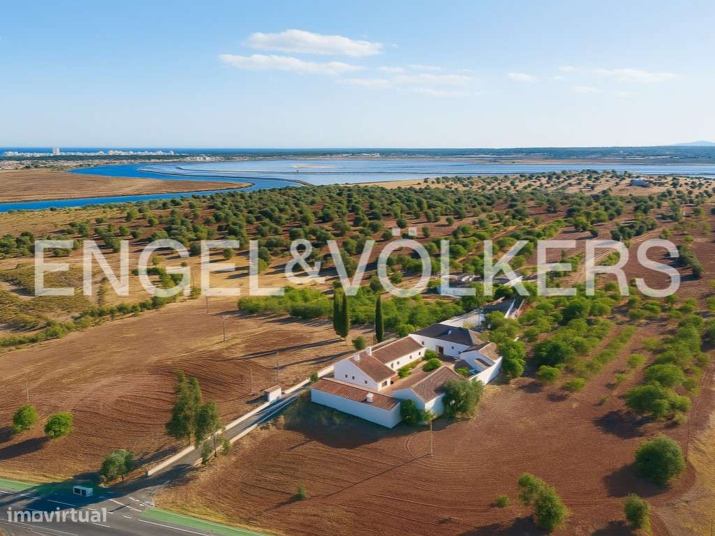 Marim Estate - Grande imagem: 2/30