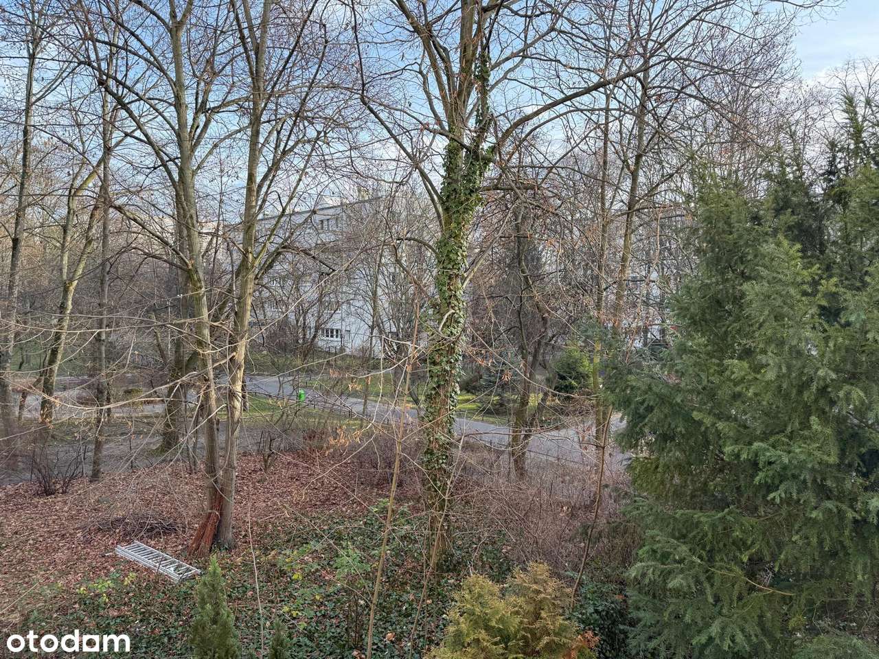 3 pokoje  w Parku Sady Żoliborskie - Pełny obrazek: 5/8