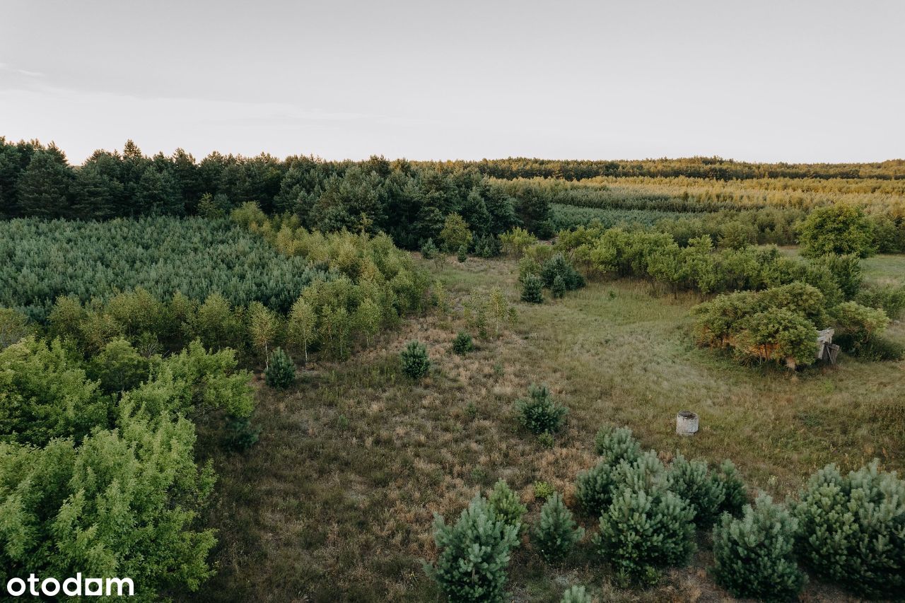 Działki budowlane - Kolonia Lipiny, gm. Sompolno