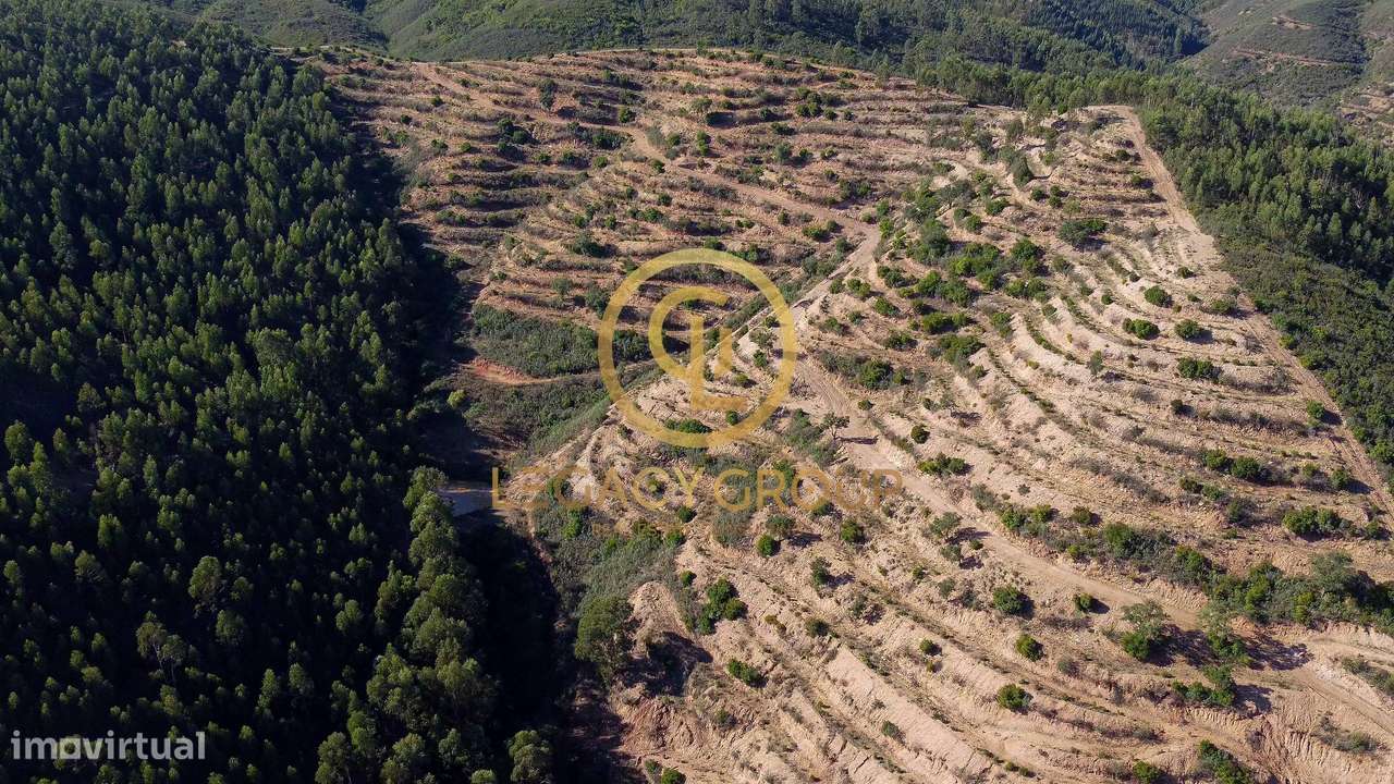 Propriedade de 10 hectares perto da barragem de Odelouca-28