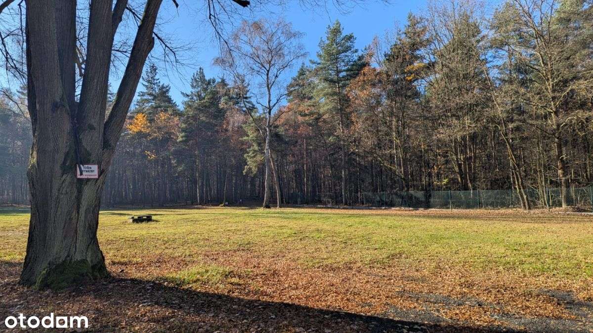 Działka Premium z prywatny lasem - 7,99ha-12