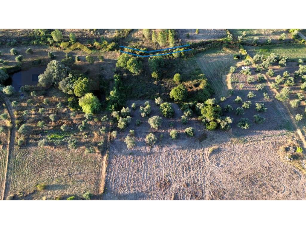 Terreno rústico com 18.080m2, para venda, em Freixial do Campo. - Grande imagem: 5/10