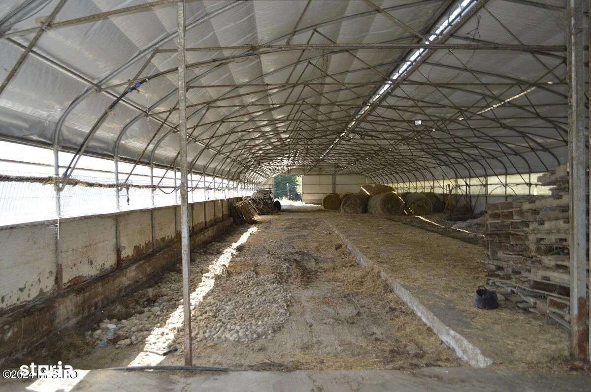 Bogati - Glimbocel, ferma zoo, cladiri autorizate DSV, teren 8766 mp - Imagine principală: 5/18