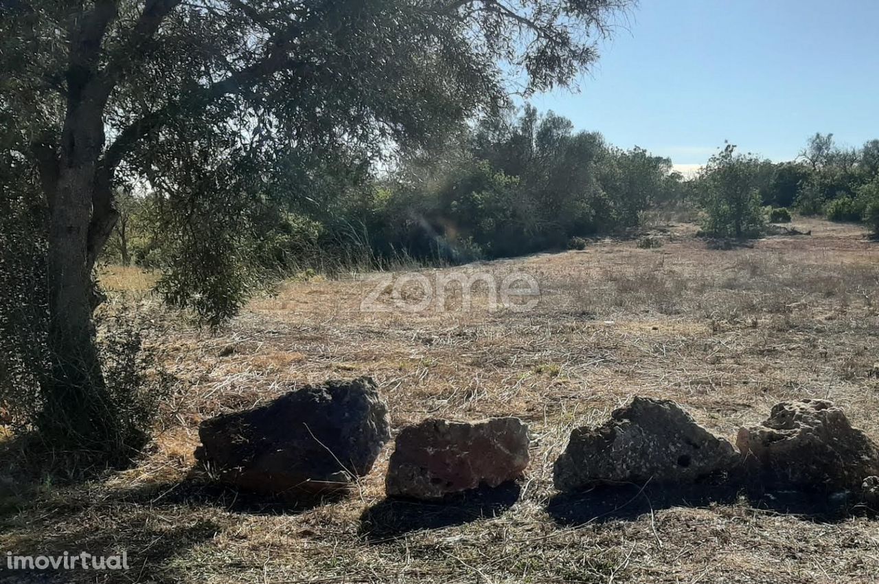 Terreno nas Cocaias, junto à estrada, com 2.220m2, Messines