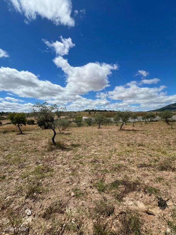 Terreno  para venda - Grande imagem: 3/6