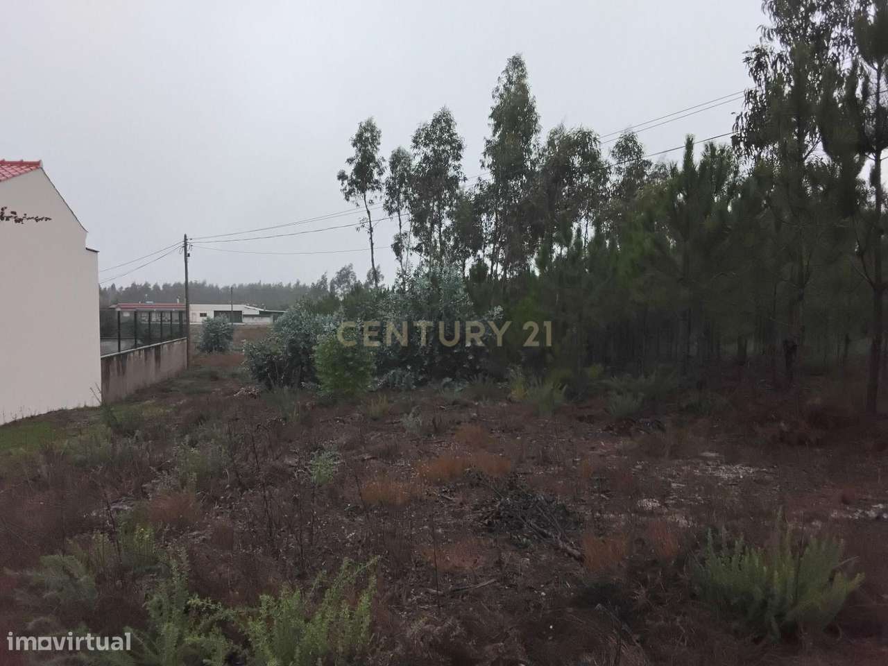 Terreno rústico à Venda em Grou, Guia, Pombal - Grande imagem: 5/7