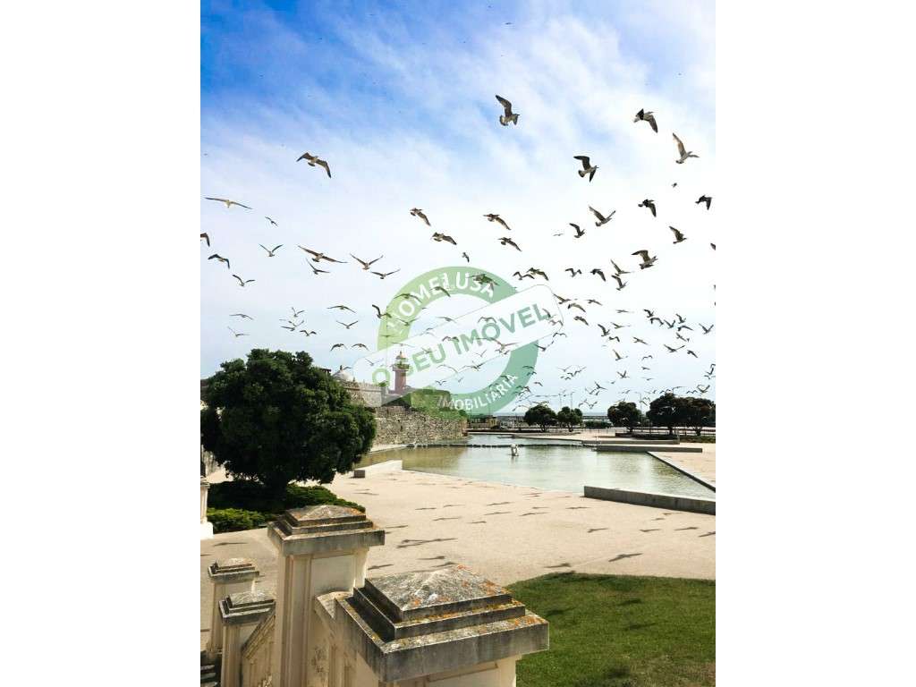 Trespasse comercial situado numa das zonas emblemáticas da Figueira... - Grande imagem: 5/5