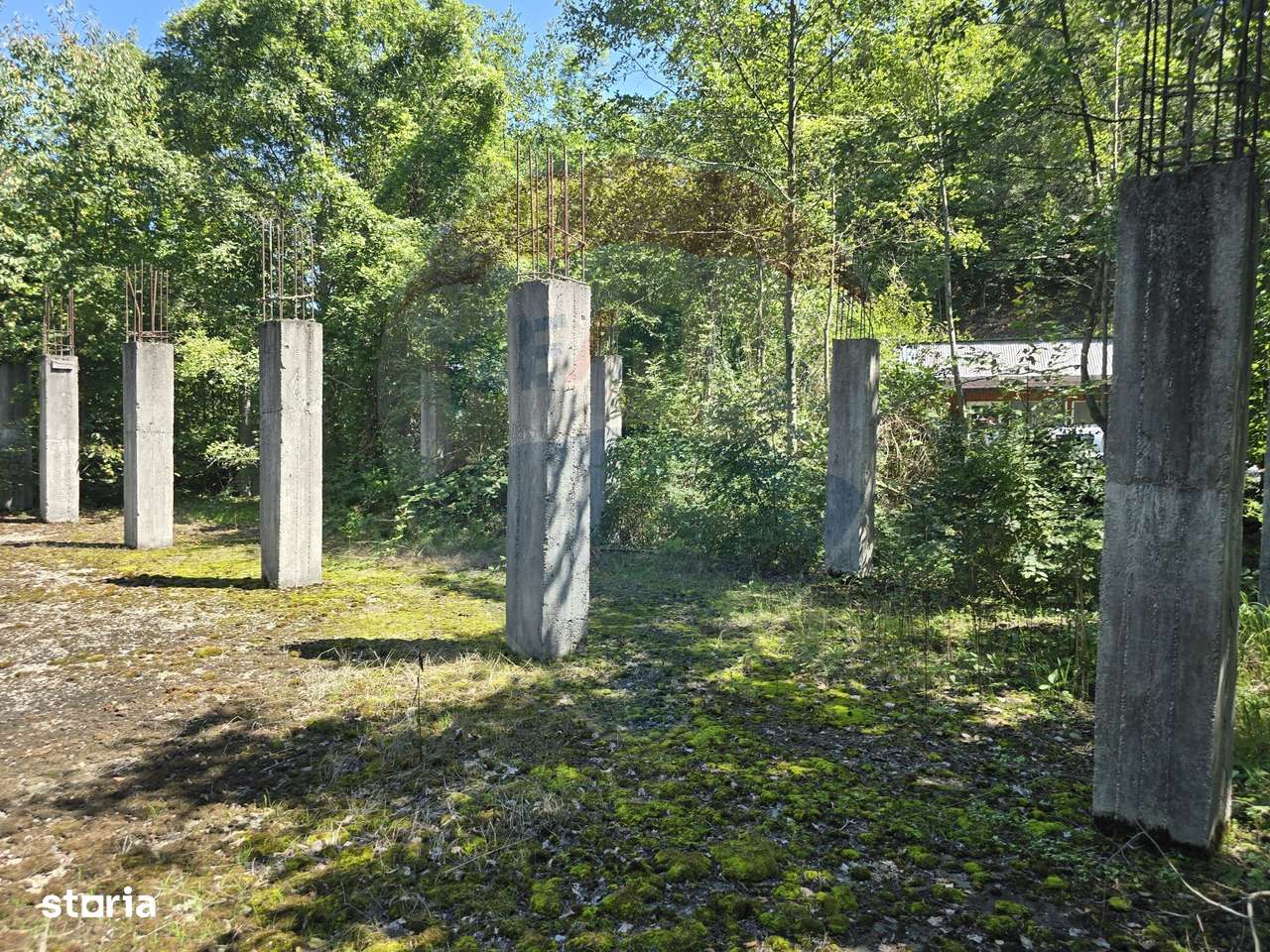 Teren 4,000mp Pascoaia / Soseaua Punctul Chiliilor - Imagine principală: 4/17