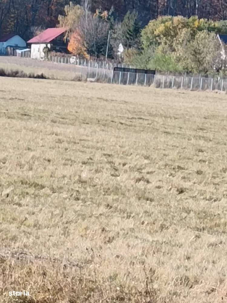 Teren langa Padure Dragomirna 40 Ari ISuceava/Dragomirna I 64.000Euro - Imagine principală: 2/7