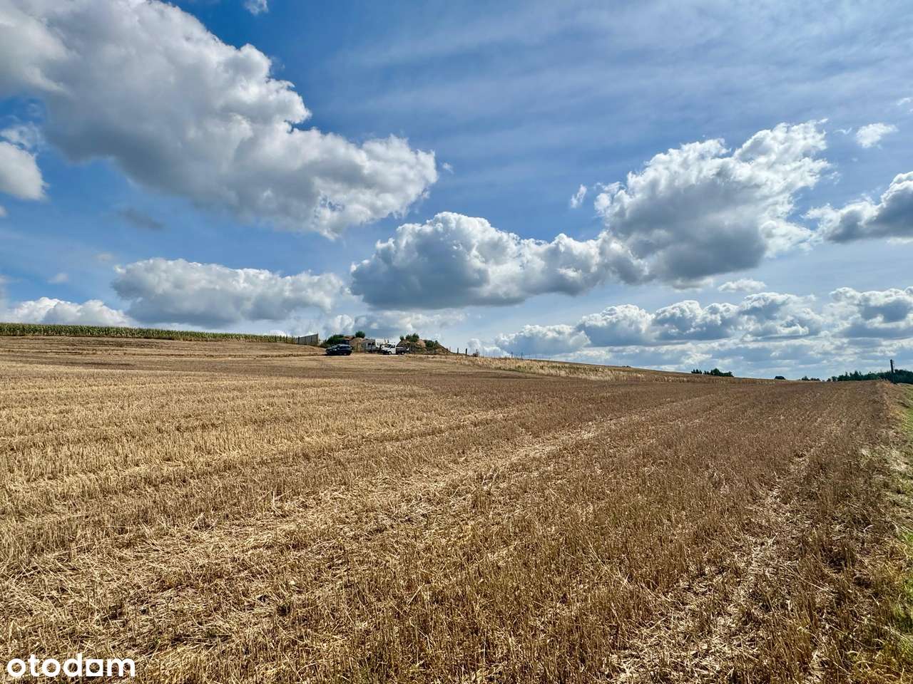 Działka z malowniczym widokiem na Jezioro Wolickie-5