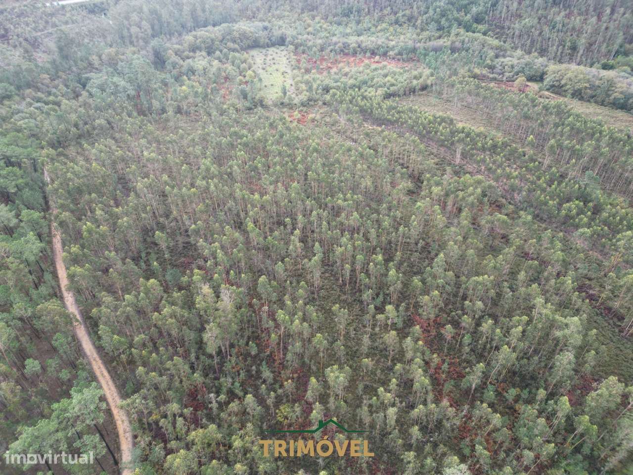 Terreno Rústico  Venda em Milheirós de Poiares,Santa Maria da Feira - Grande imagem: 2/10