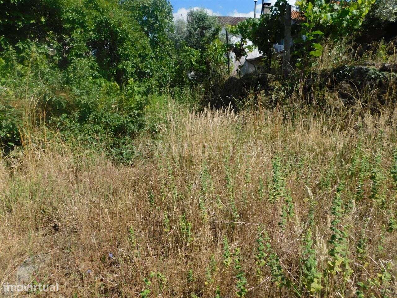 Terreno / Gouveia, Cativelos - Grande imagem: 5/13