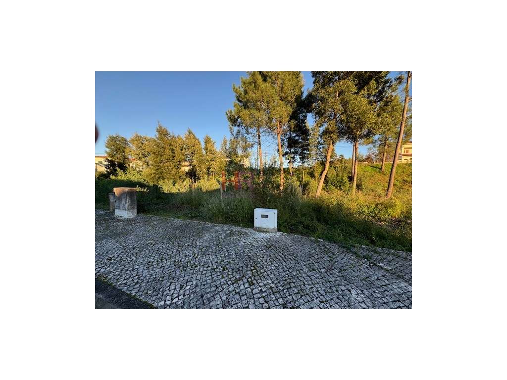 Vende-se Lote de Terreno na Quinta da Sobreira. - Grande imagem: 5/11