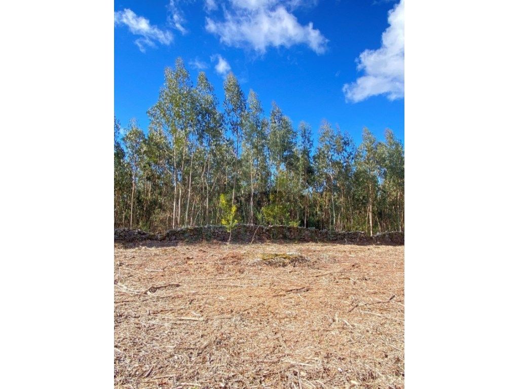 Terreno de construção, perto do Monte de Santo Antão!