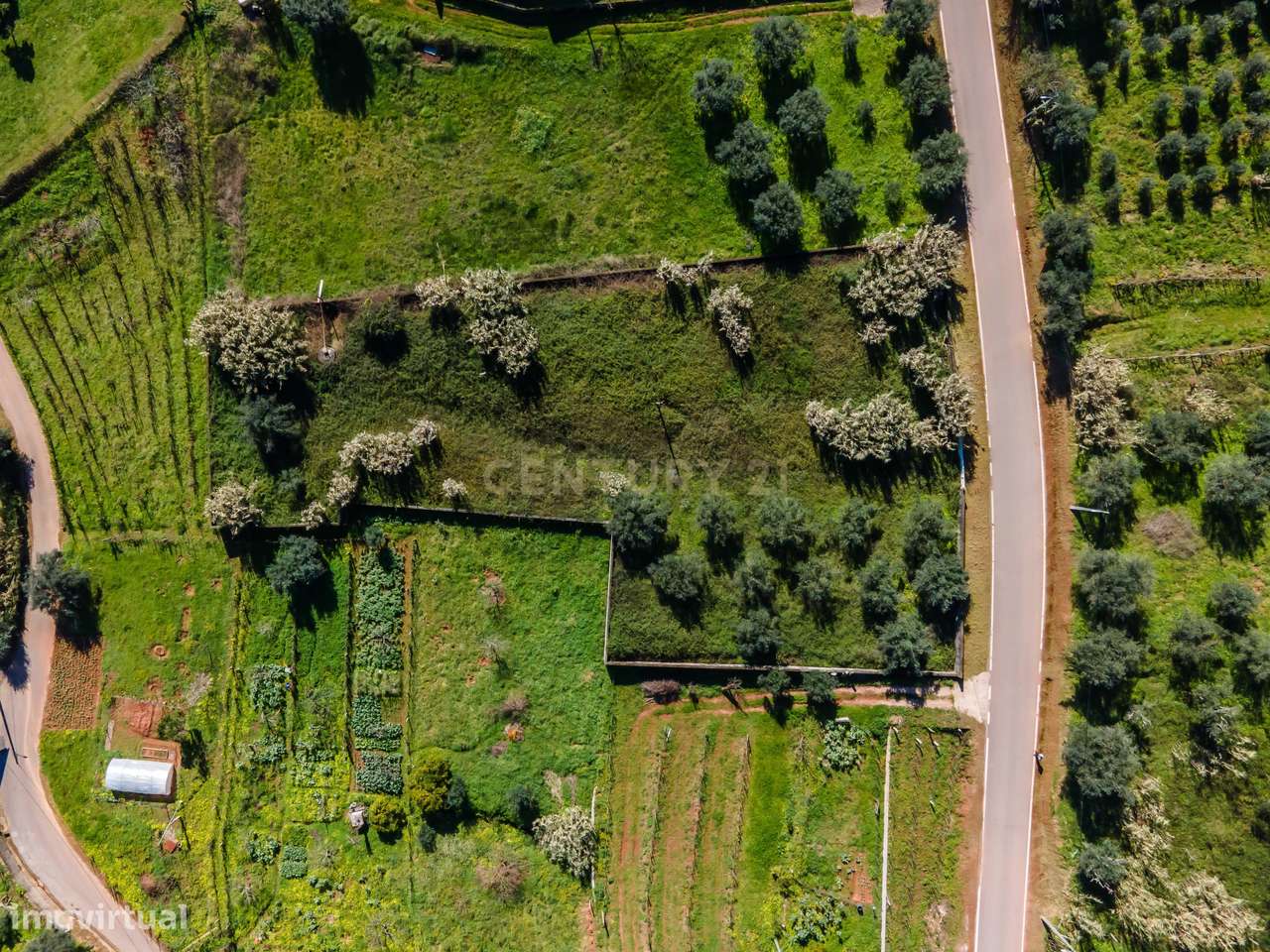 Terreno para Construção | Ceira-13