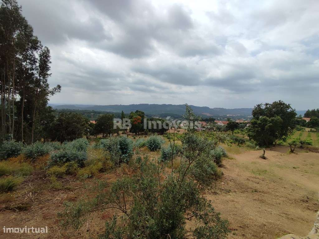 Casa de campo - Pias, Ferreira do Zêzere - Grande imagem: 4/60