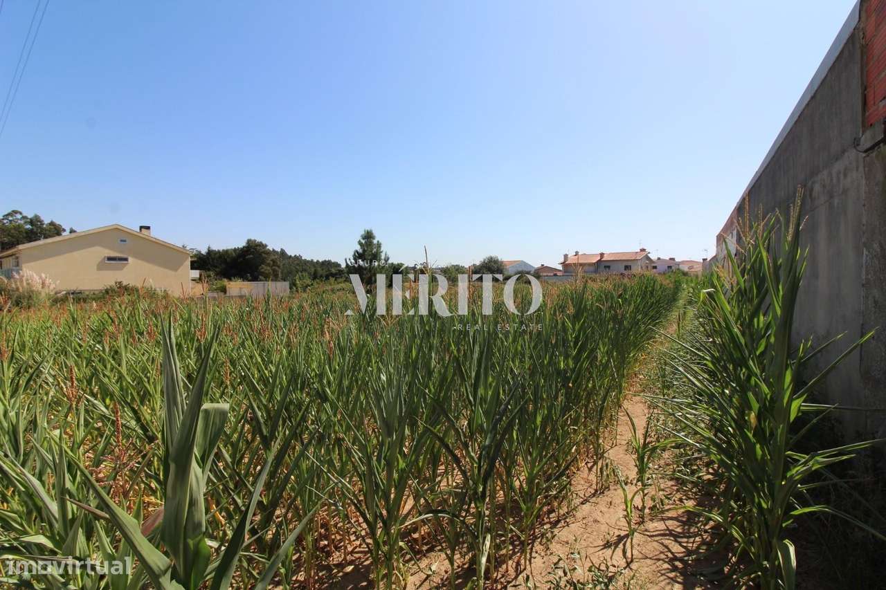 Terreno viável para construção de habitação - Grande imagem: 3/7
