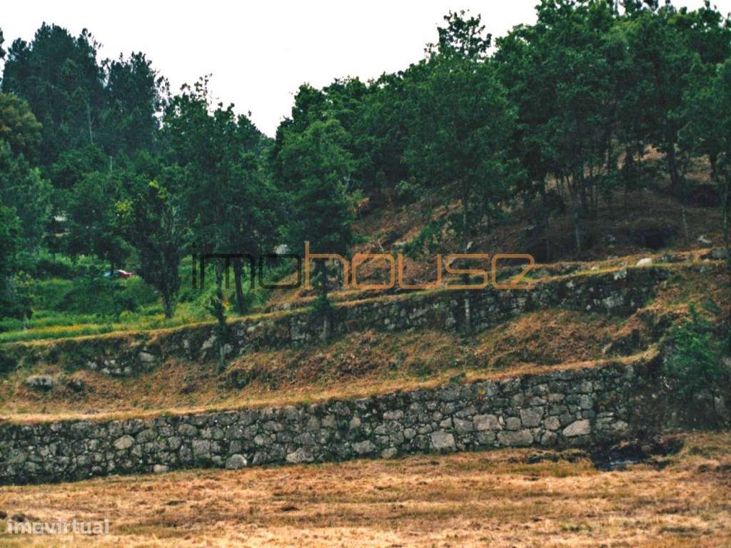 Quinta isolada - Amarante-41