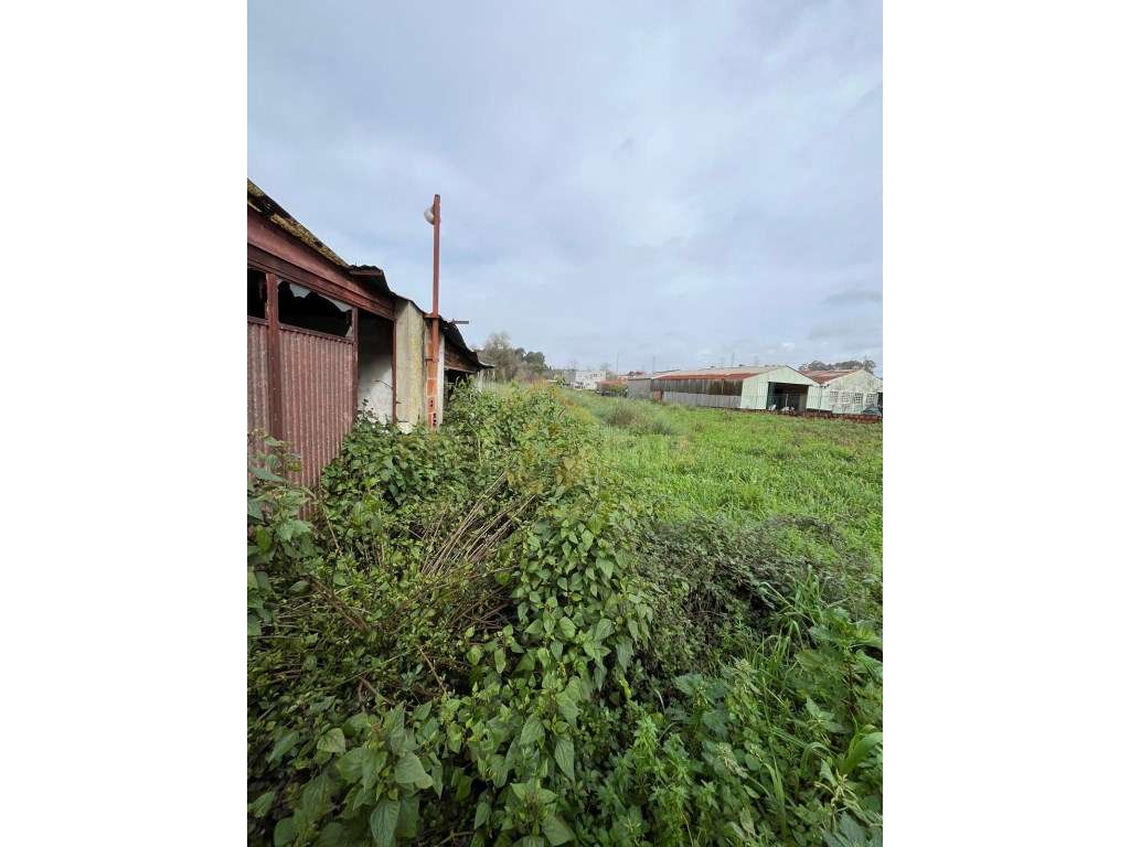 TERRENO PARA CONSTRUÇÃO DE MORADIA COM 1.970 METROS 
 SERZEDO - Grande imagem: 3/7