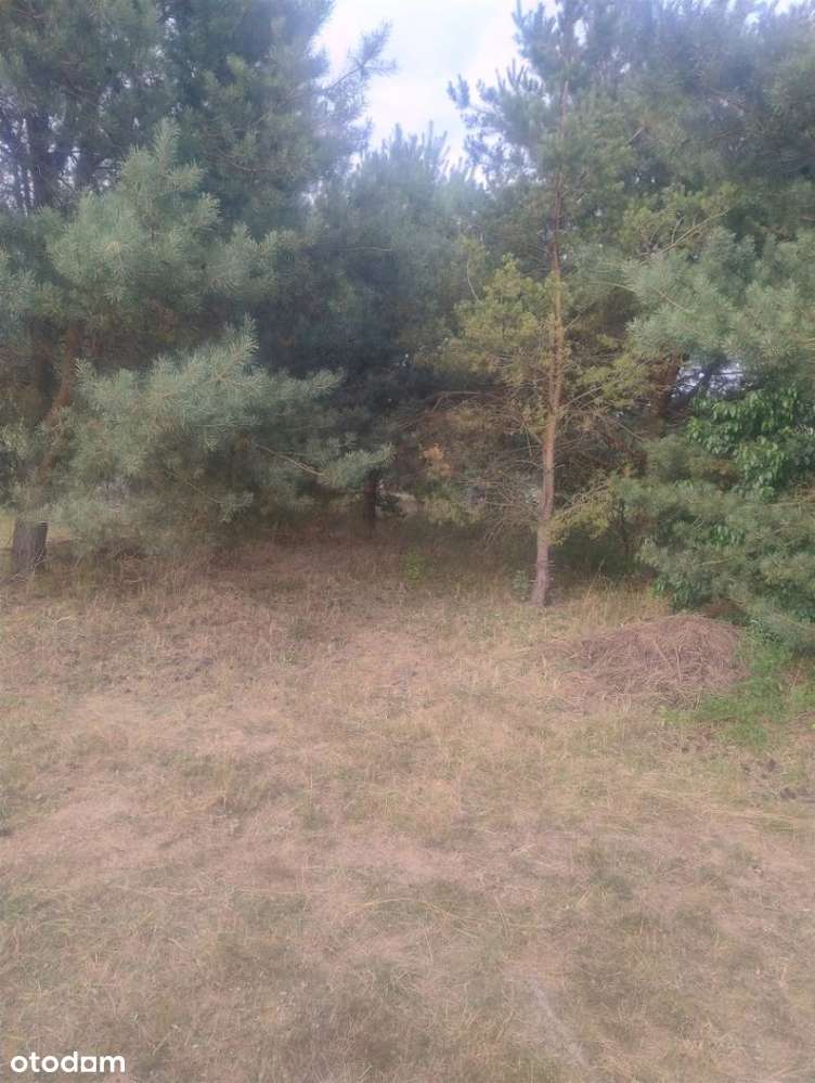 Piękna działka w Rakowni Gmina Murowana Goślina-14