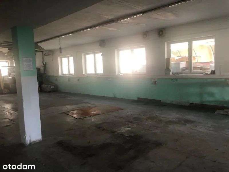 Przestronna Hala Do Wynajęcia - Bezpośrednio! Dobr - Pełny obrazek: 4/18