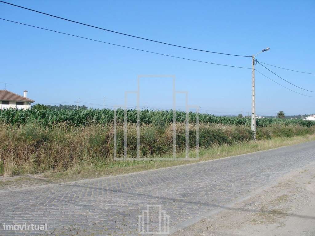 Terreno Rústico - Válega - Grande imagem: 2/3